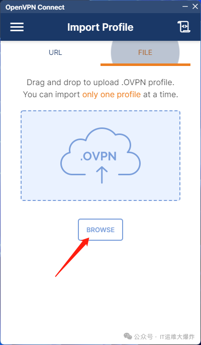 企业级 VPN——Pritunl